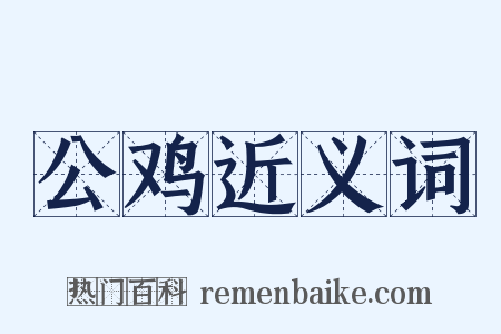 公鸡近义词是什么意思的图片